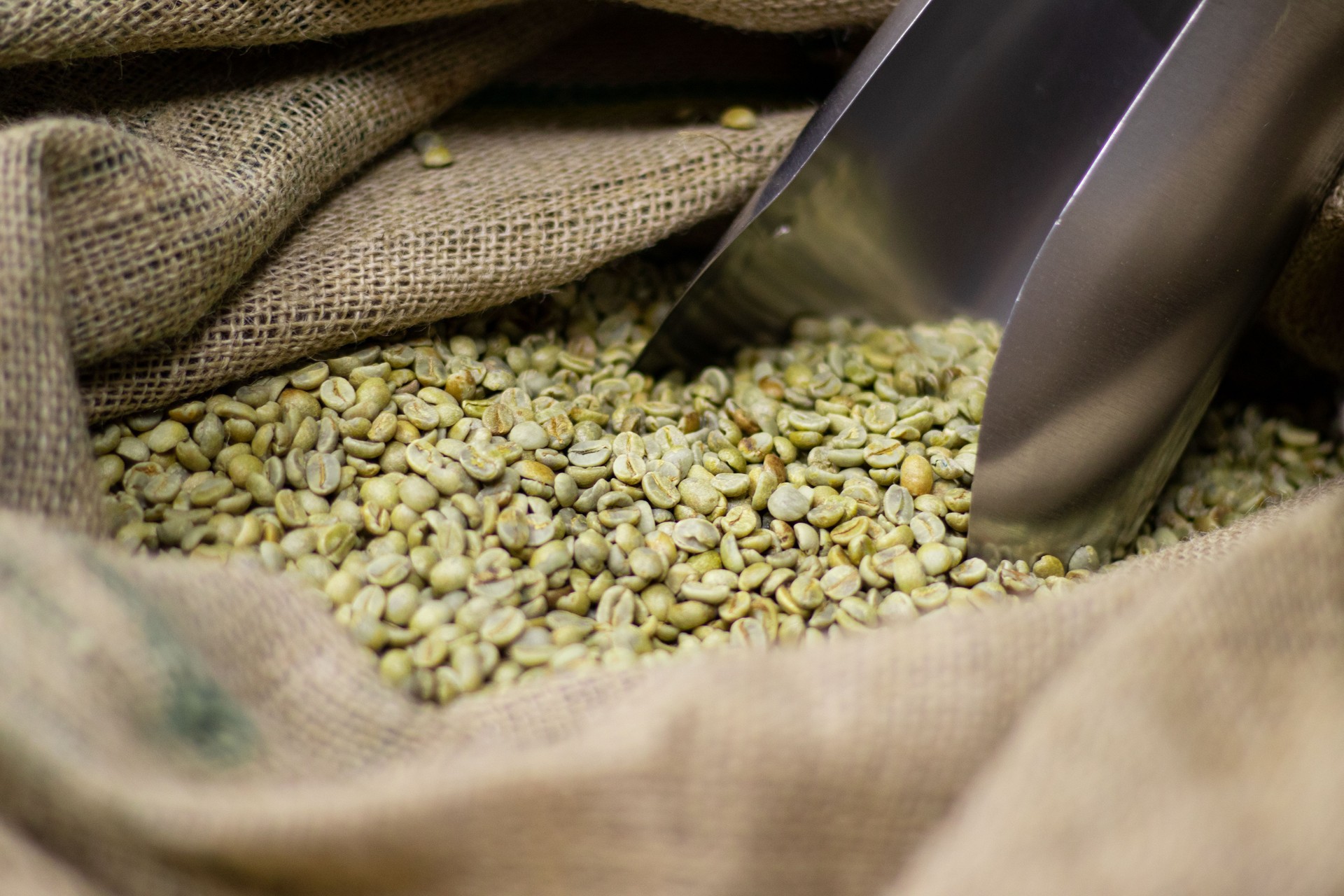 Green raw coffee